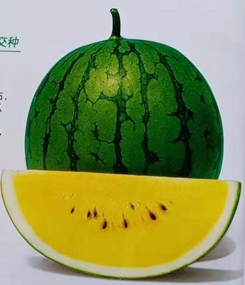 小兰