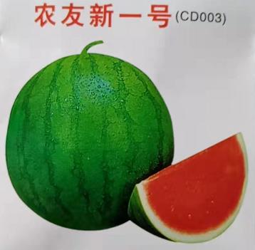 农友新一号