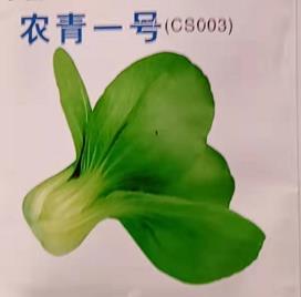 农青一号